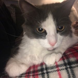 Meet your Posher, Lexy